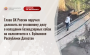 собака